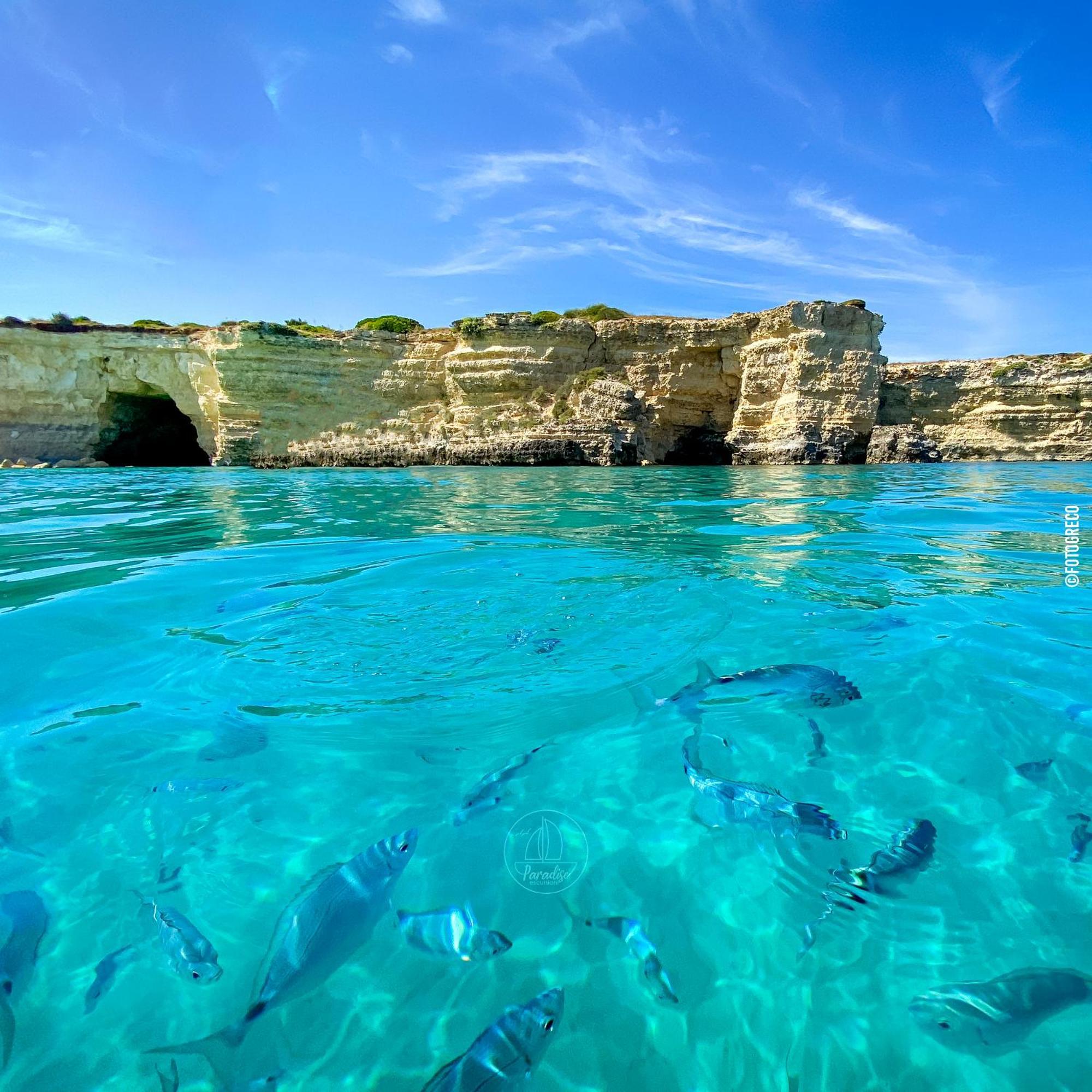 Cocumola Salento Terra Maris Bed & Breakfast エクステリア 写真